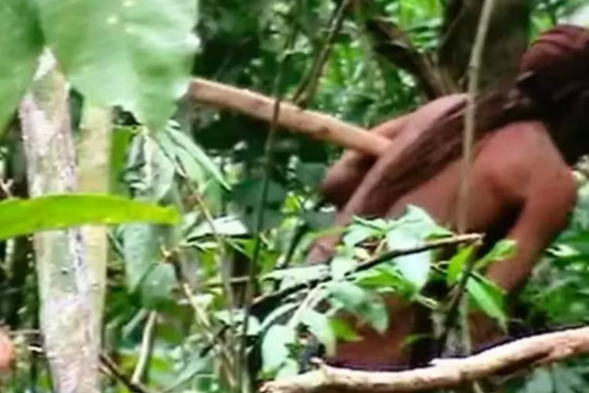 STF homologa plano para criação do Parque Nacional Tanaru em Rondônia