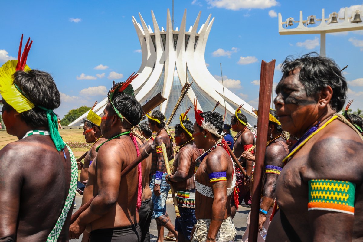 Com atenções em Bolsonaro, Congresso avança com anistia a desmatamento e garimpo em terra indígena