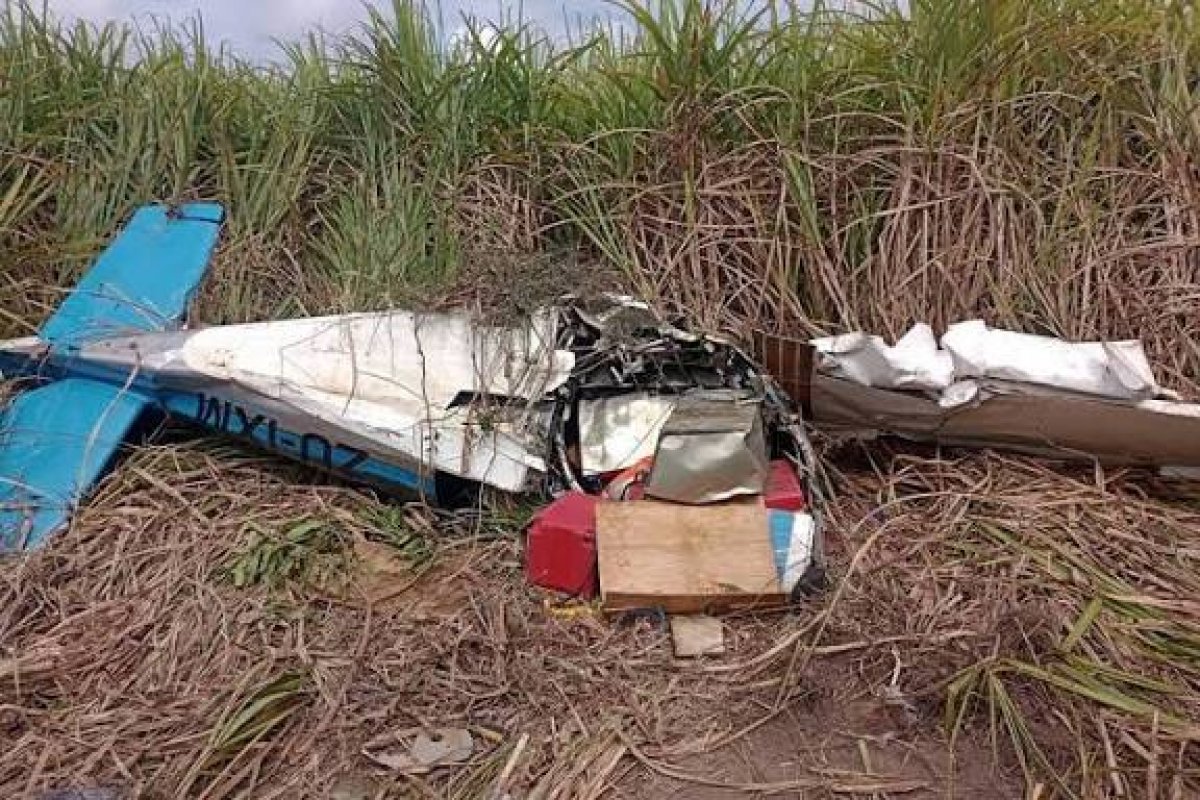 Avião que transportava cocaína cai em canavial em Alagoas; piloto morre