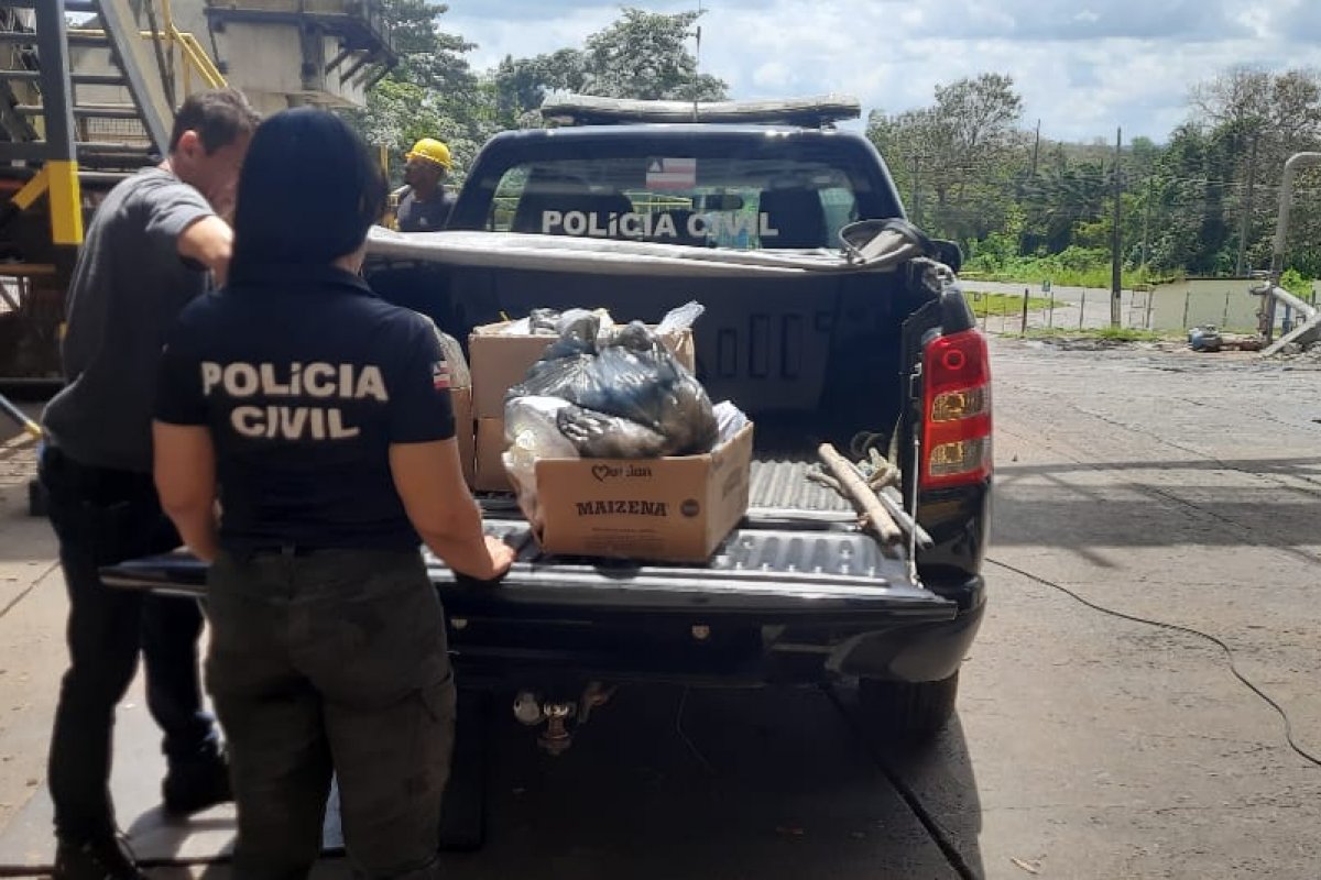 Trinta e um quilos de drogas são incinerados no município de Santo Amaro
