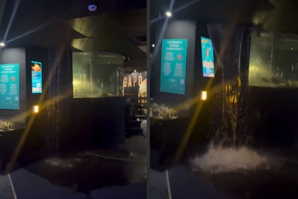 Vídeo: parte do teto do AquaRio cede após vazamento em tanque