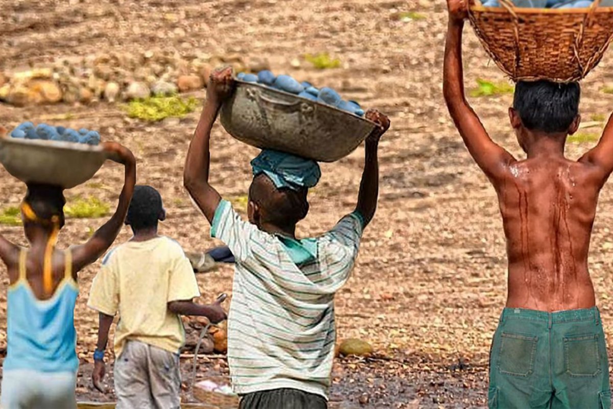 Nordeste teve 547 mil crianças e adolescentes em situação de trabalho infantil em 2024, diz IBGE