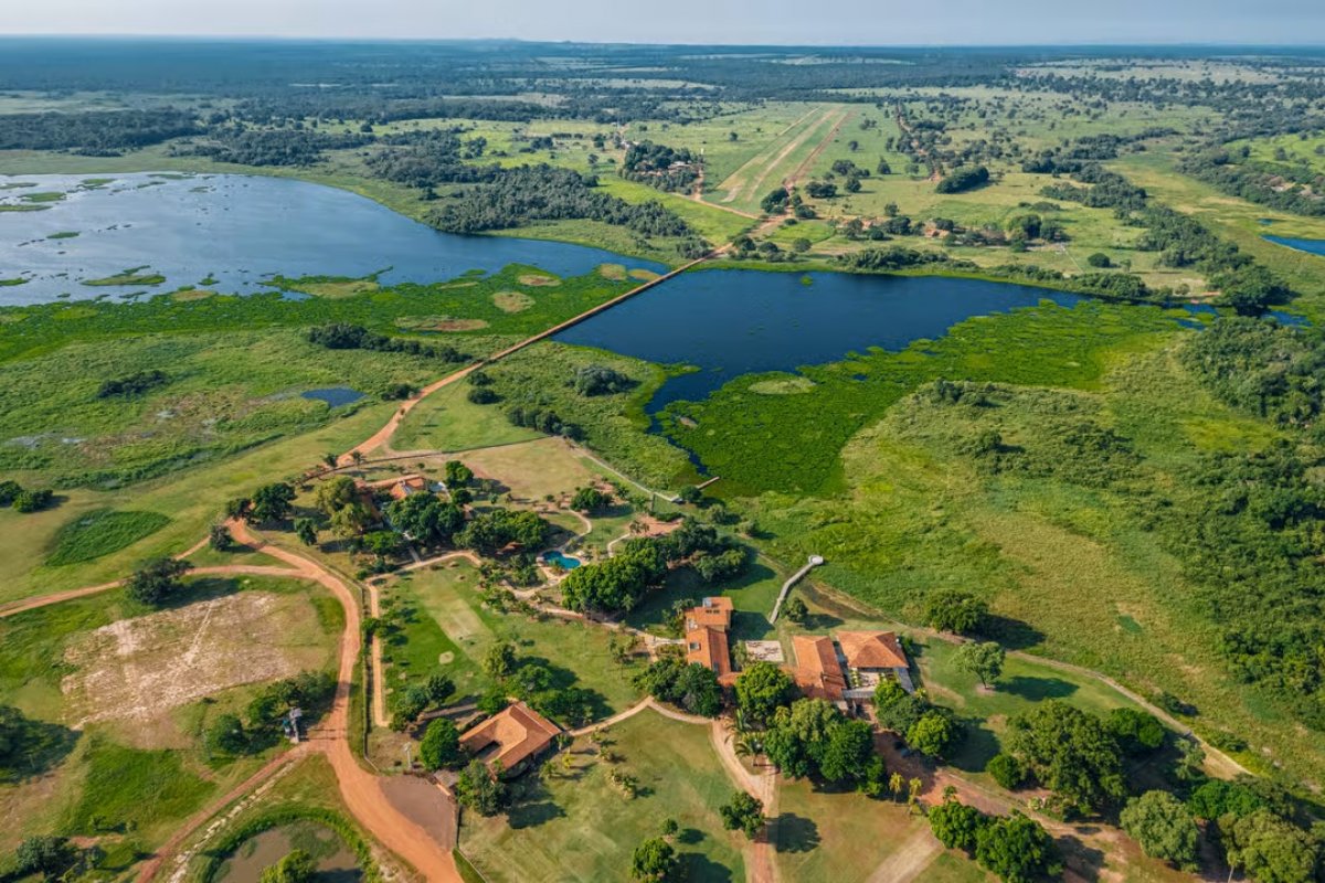 Turismo de conservação transforma viagens em experiências de impacto positivo!