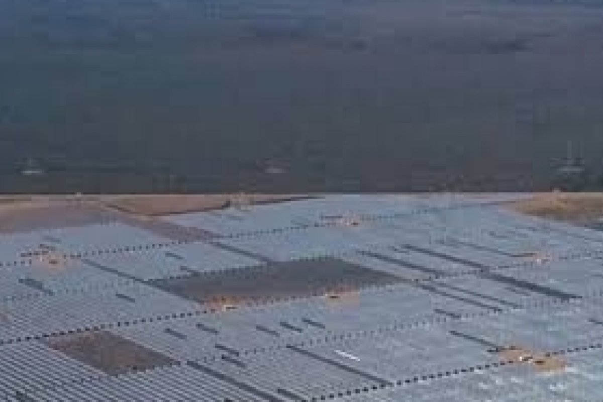 Bahia é o Estado do NE que mais perde Caatinga para usinas solares!