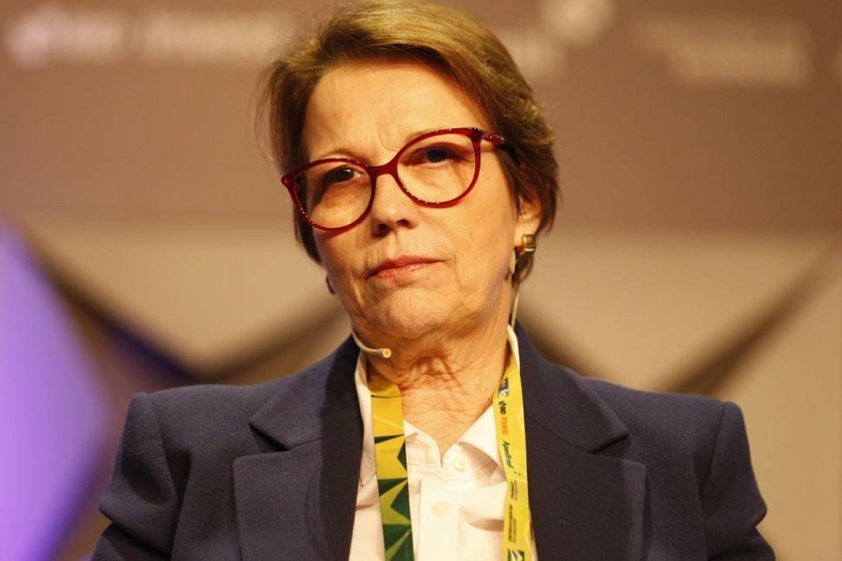 EUA decidem liberar exportação de bovina in natura do Brasil