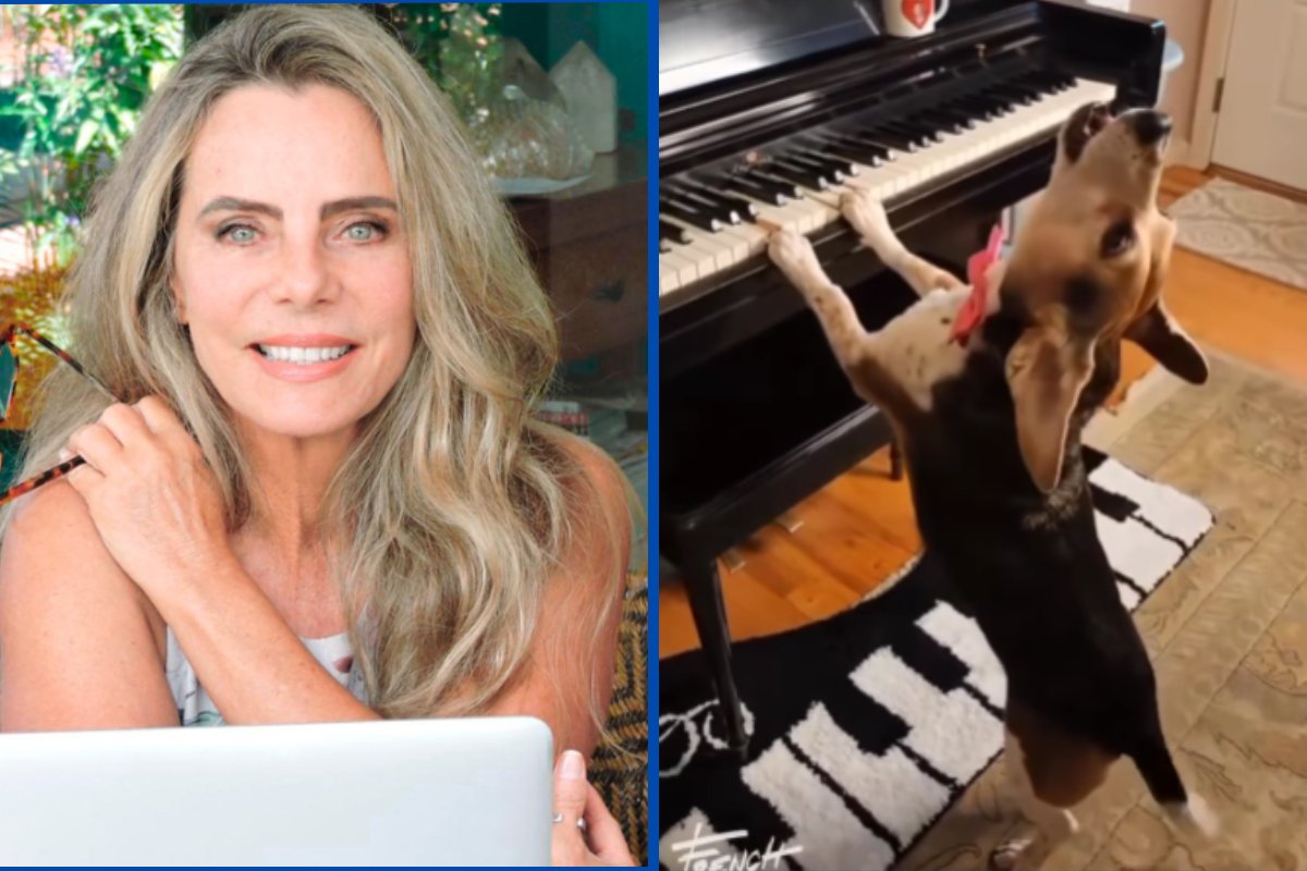 'Cão pianista' viraliza em vídeo compartilhado por Bruna Lombardi