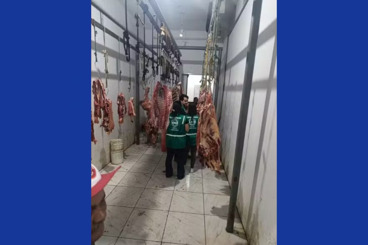 Equipe sanitária encontra e destrói 100 quilos de carne infectada com tuberculose bovina em Ibicaraí
