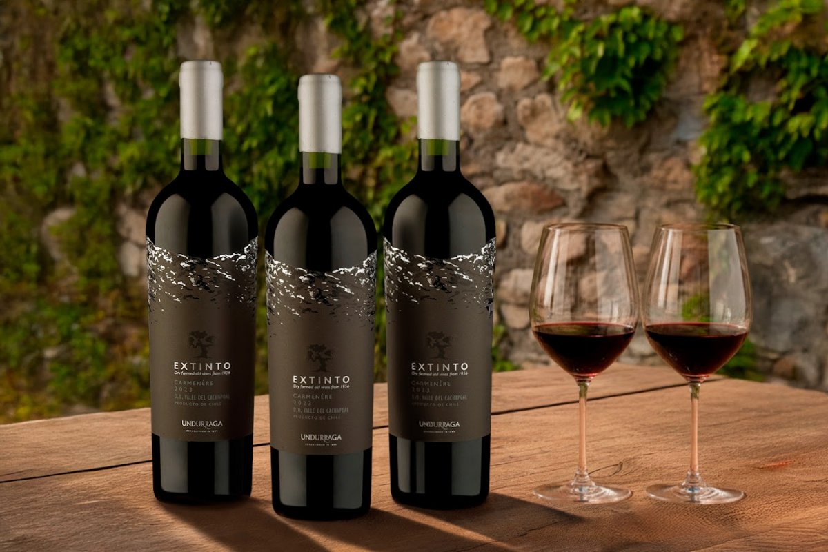 Wine traz ao Brasil o Extinto Carménère 2023, vinho icônico da Undurraga!
