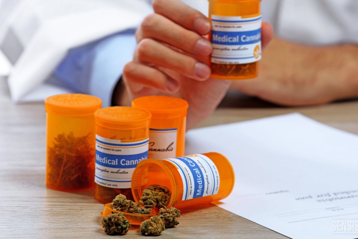 Governo gastou mais de R$ 2 milhões com remédios à base de maconha medicinal
