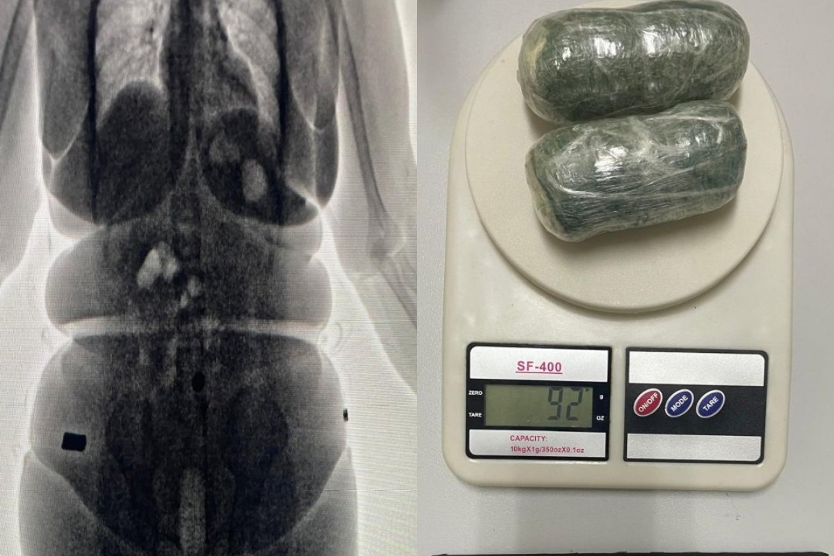 Mulheres são flagradas ao tentar entrar com drogas escondidas nas partes íntimas em presídio na Bahia 