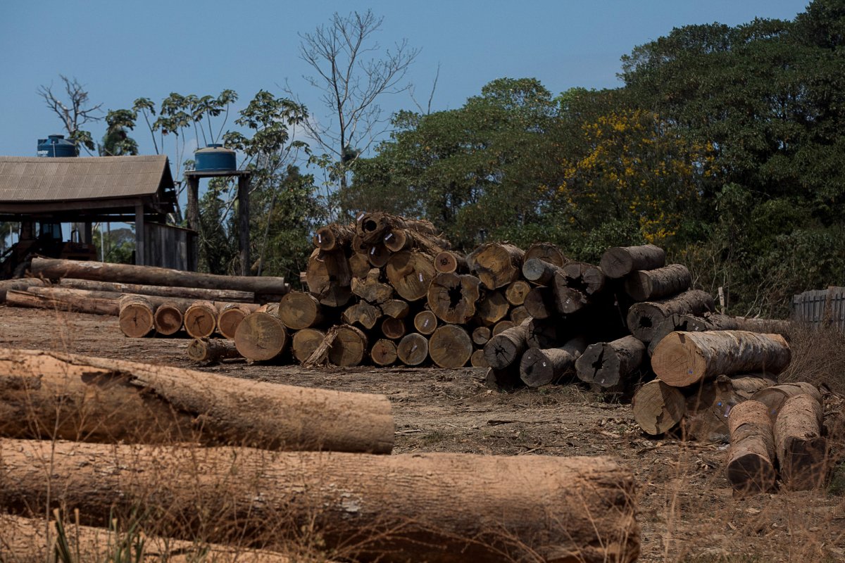 Bahia registra 5.684 casos de crimes ambientais entre 2022 e 2025 em quase 95% dos municípios