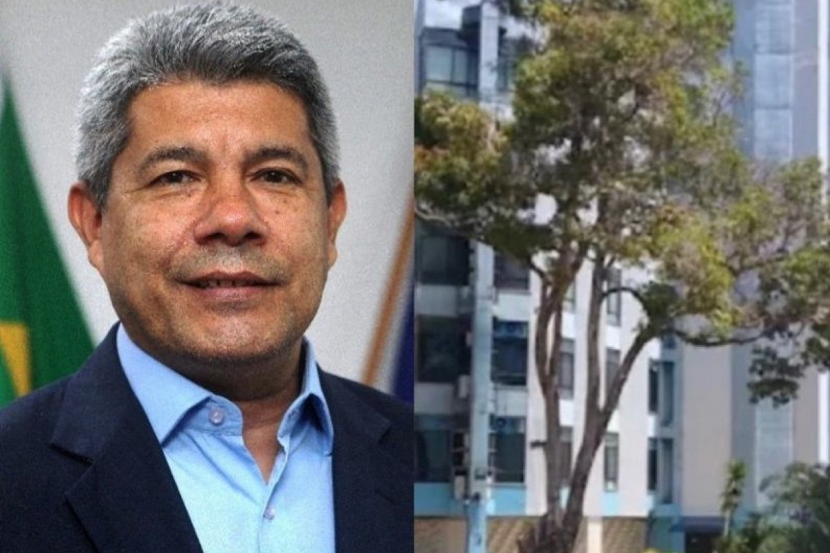 Jerônimo nomeia Maiana Pitombo para assumir interinamente Secretaria do Meio Ambiente