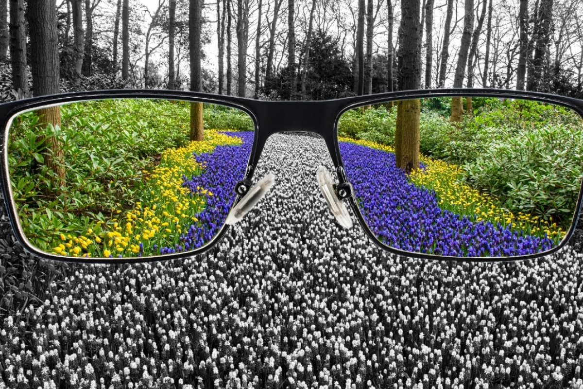 Daltonismo: entenda como a ausência de cores afeta o cotidiano de quem possui a condição