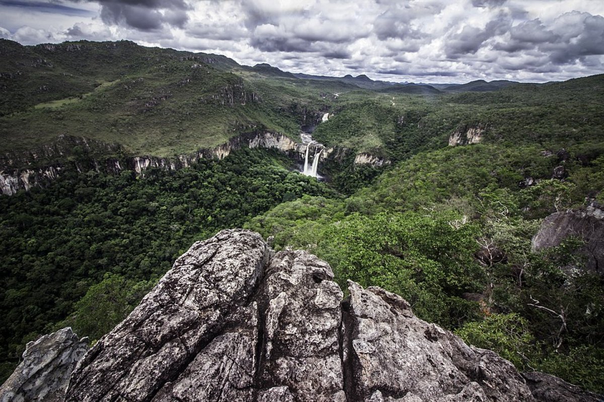Número de municípios com mais de 80% de cobertura vegetal nativa do Cerrado cai de 37% para 16% em 40 anos