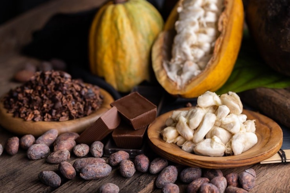 Saiba o que vai rolar no Festival Sabores de Itacaré! 