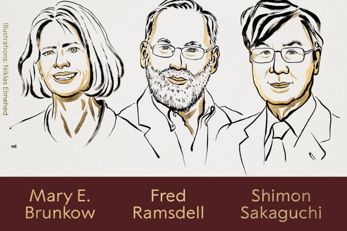 Nobel de Medicina de 2025 premia 3 pesquisadores por descobertas sobre tolerância imunológica