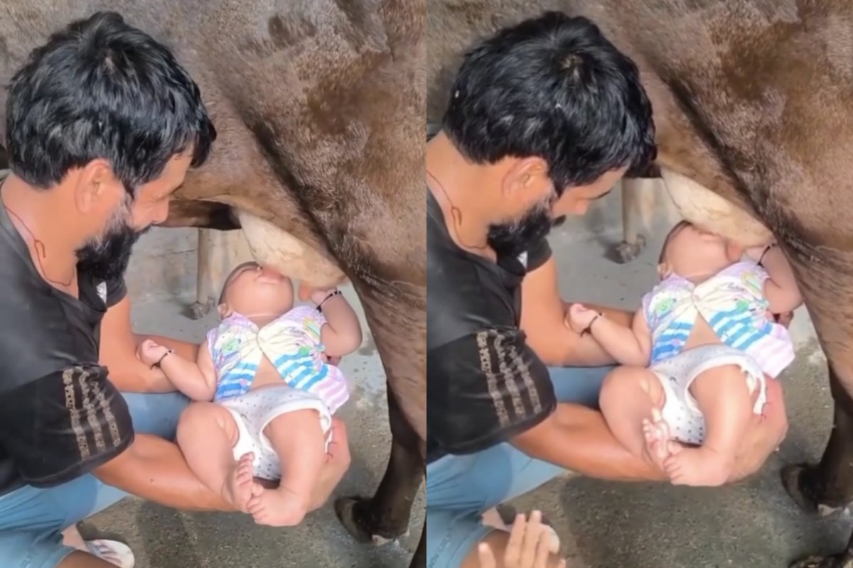 VÍDEO: Pai coloca bebê para mamar direto da teta da vaca e causa debate nas redes sociais