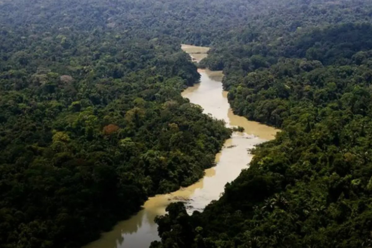 População da Amazônia sente impacto das mudanças climáticas na saúde, diz estudo