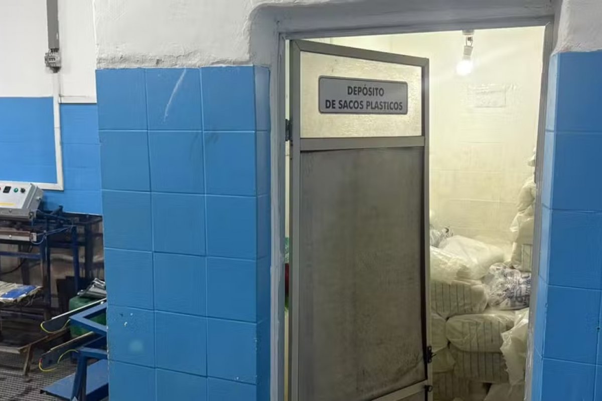 Fábrica de gelo ilegal é interditada pela Vigilância Sanitária após fiscalização em Feira de Santana