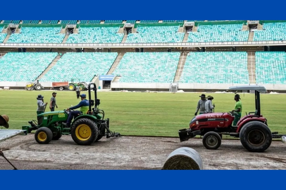 Após polêmicas, obras do novo gramado da Arena Fonte Nova são concluídas