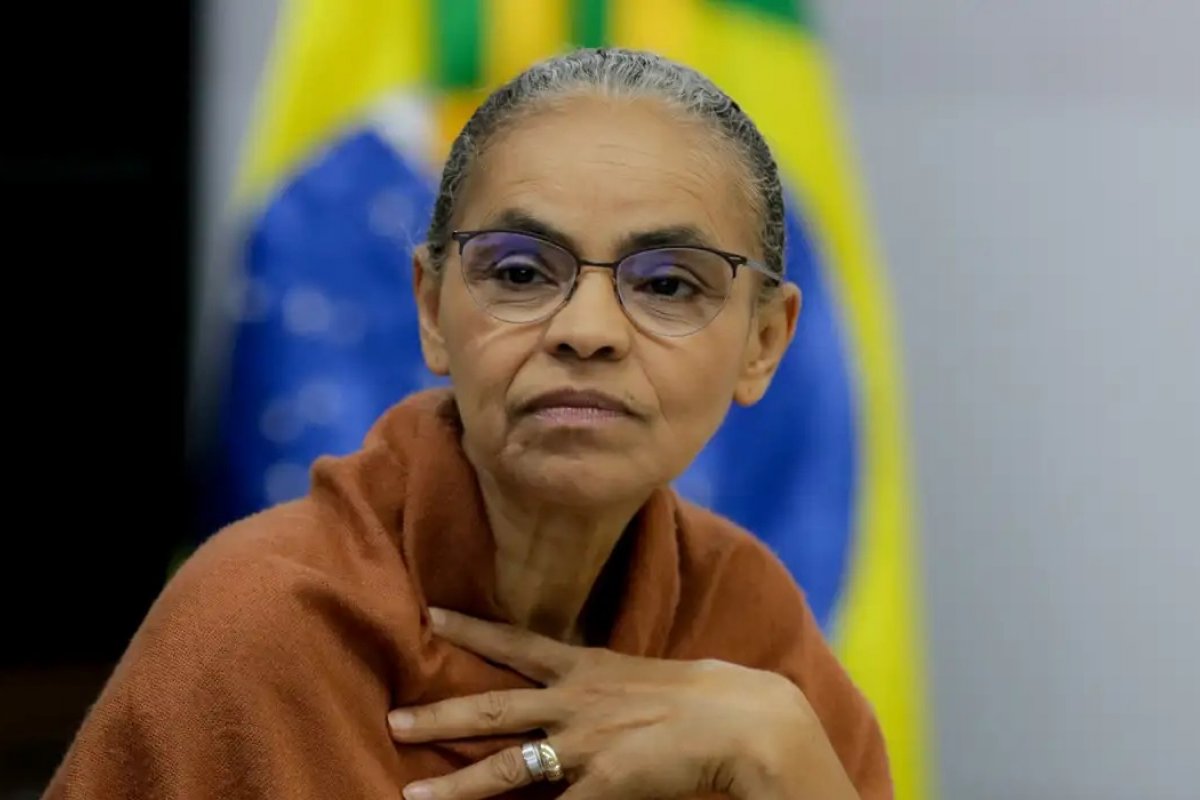 Pré-COP30: Marina Silva volta a cobrar financiamento internacional em projetos ambientais