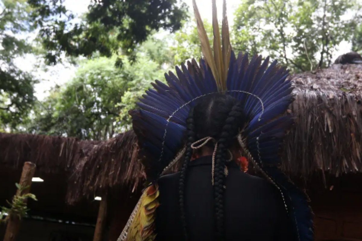 PF investiga ataques armados contra povo pataxó do sul da Bahia