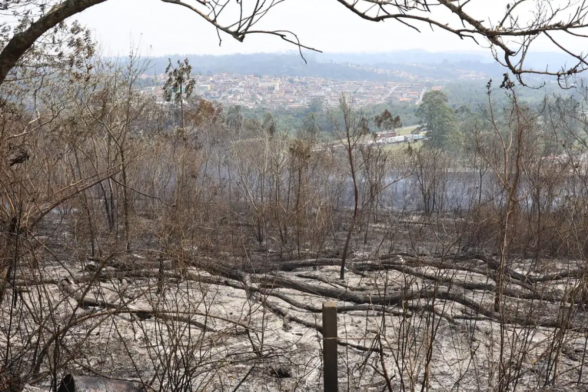 Estudo aponta que financiamento climático no Brasil é desigual
