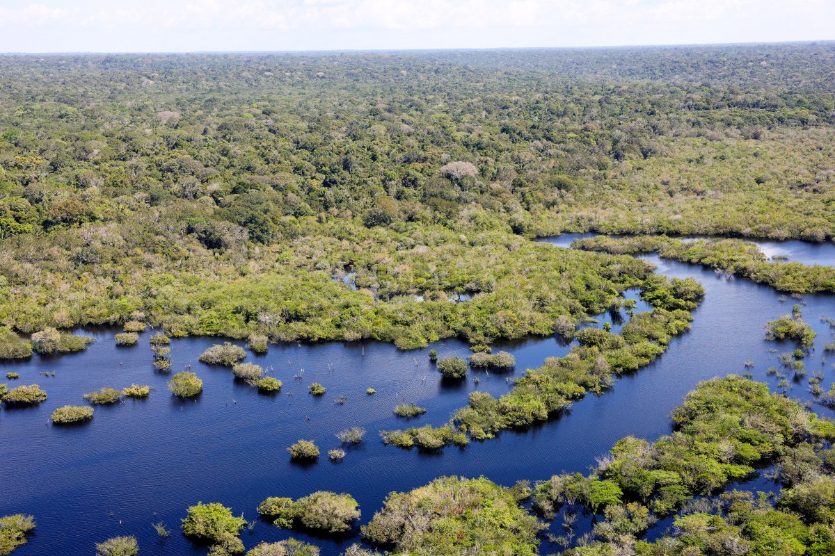Maioria dos brasileiros quer que Lula proíba exploração de petróleo na Foz do Amazonas, diz Datafolha