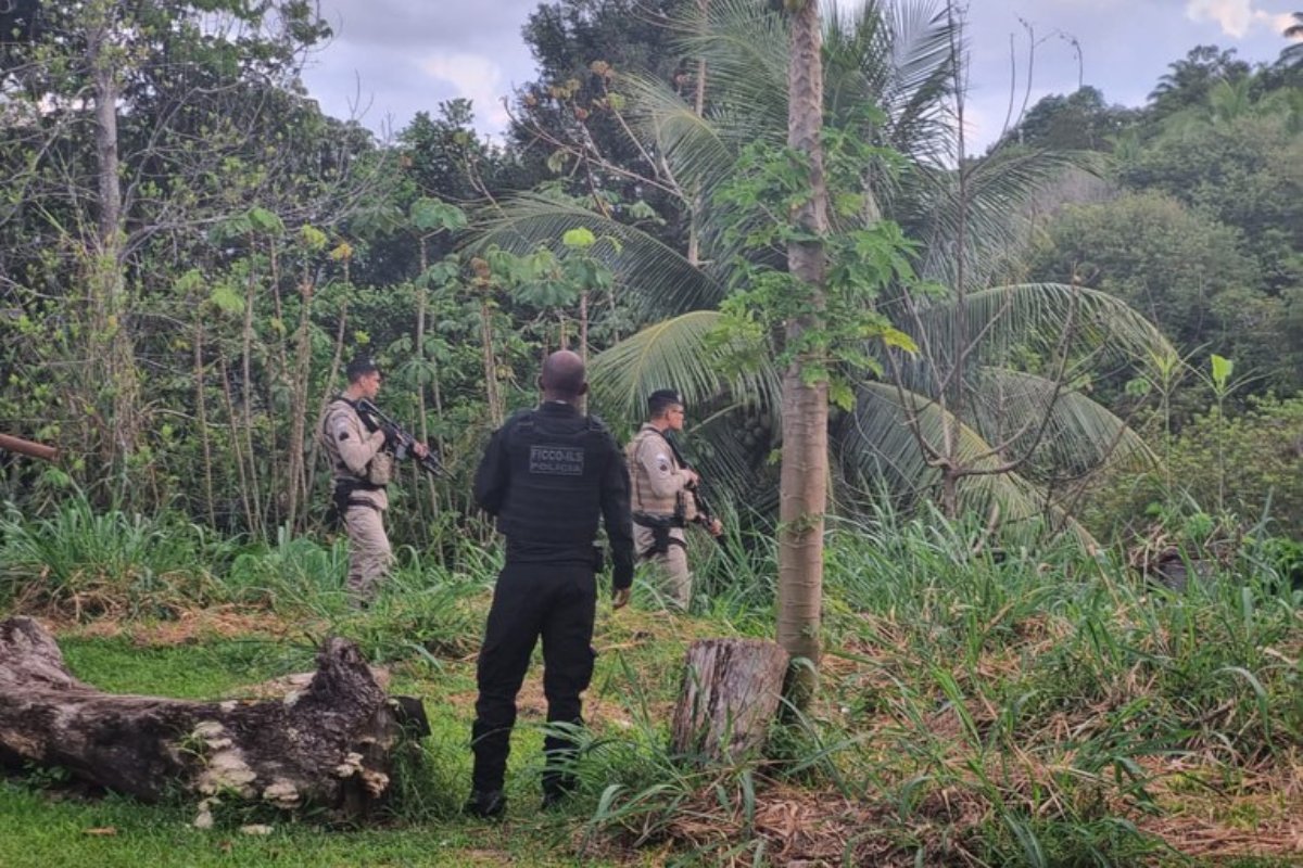 Polícia Federal realiza operação contra organização criminosa no sul Bahia