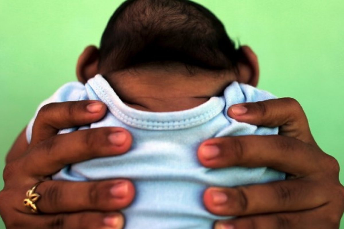 Possível causa de surto de microcefalia associada ao Zika é encontrada
