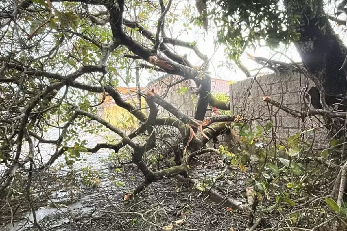 Bahia registra mais de 73 mil raios em dois dias e Inmet emite alerta de chuvas intensas