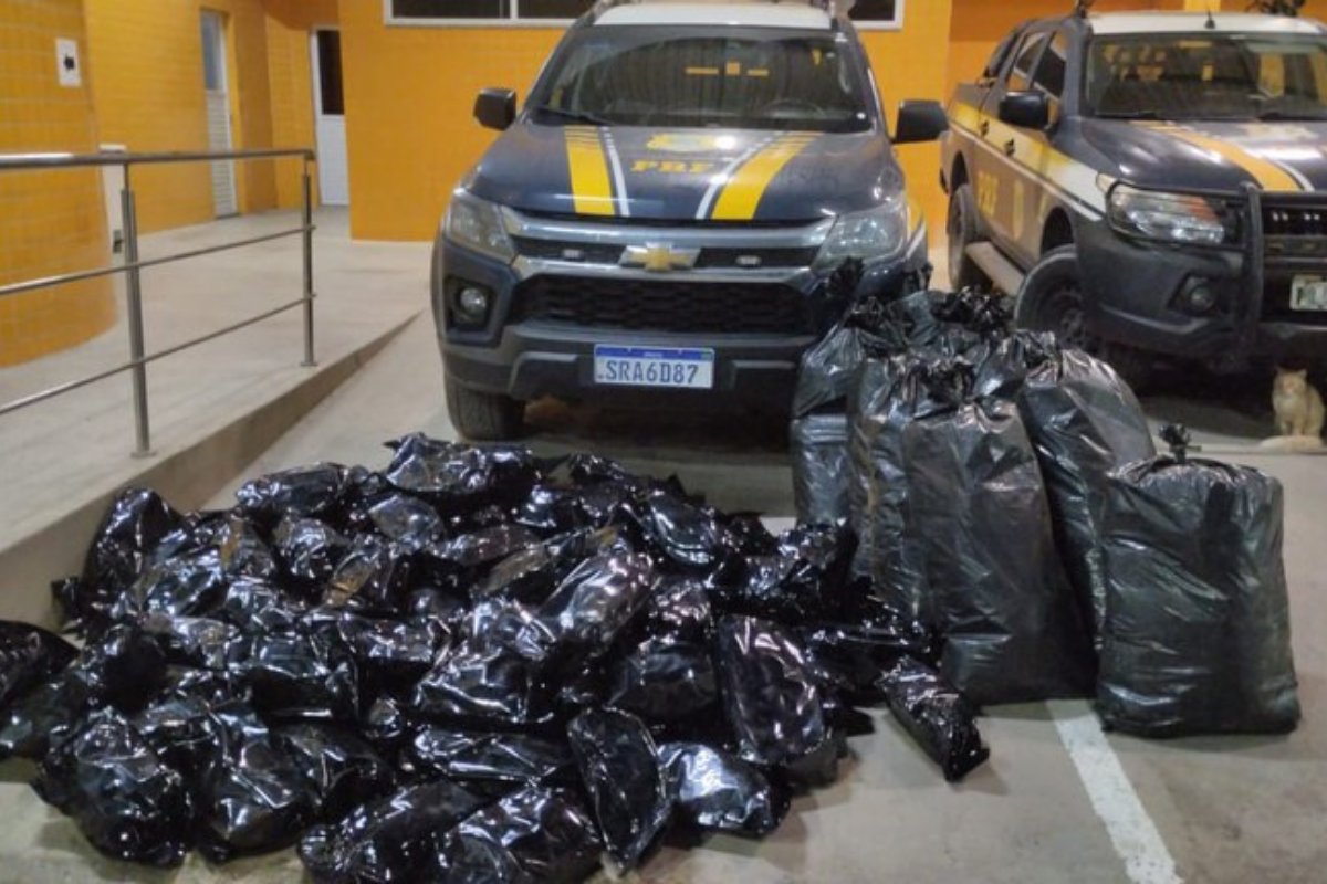 PRF apreende mais de 100 kg de maconha em Simões Filho