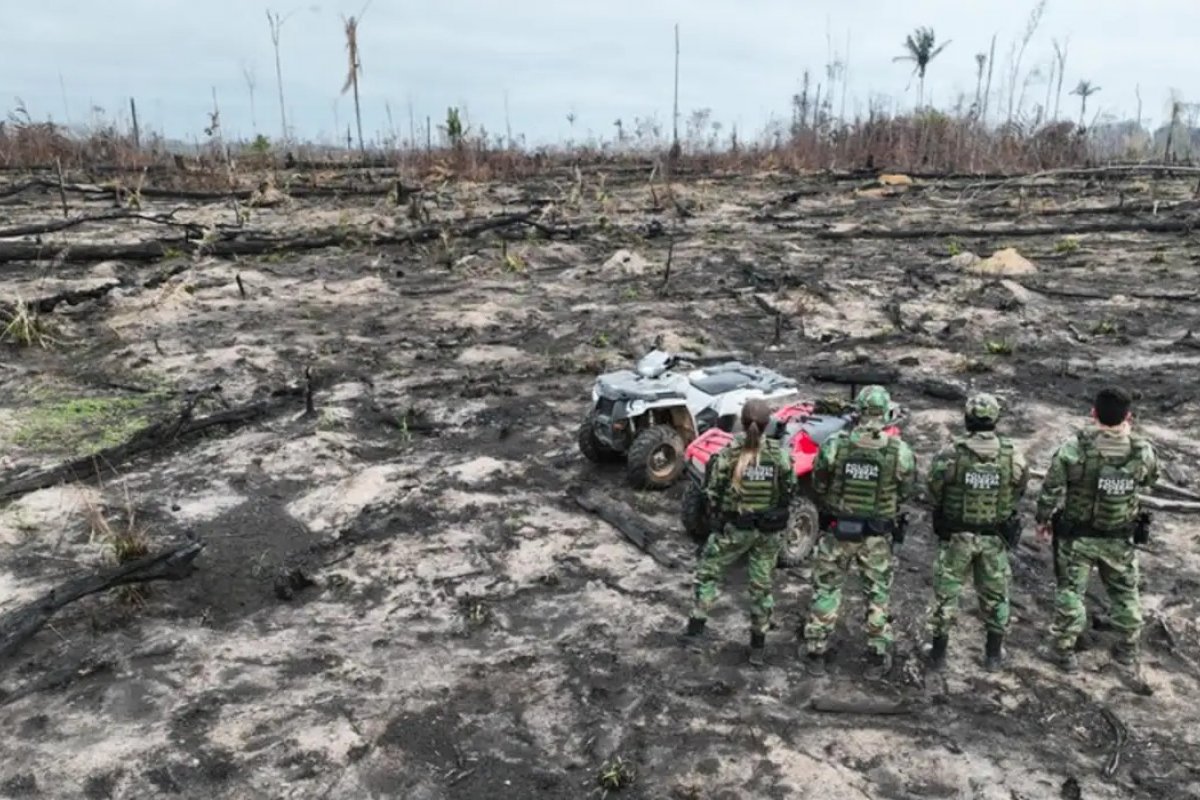 Desmatamento na Amazônia compromete igarapés e agrava insegurança hídrica, aponta estudo