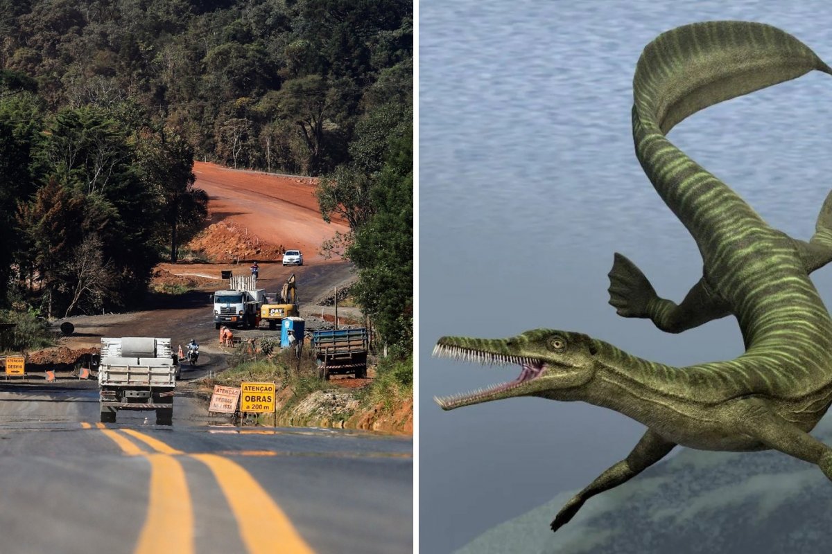 Pavimentação de estrada no PR é paralisada por causa de área com fósseis