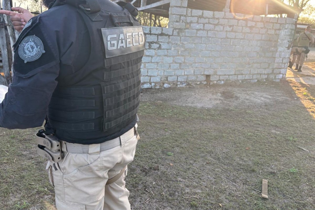 Operação do Ministério Público da Bahia desmonta maior rede de tráfico de aves silvestres do país