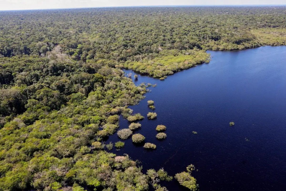 Desmatamento na Amazônia tem menor índice em 11 anos, mas degradação preocupa pesquisadores