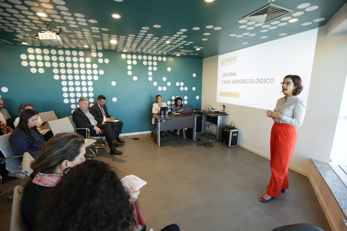 Estudo aponta caminhos para uma alimentação mais saudável e sustentável nas escolas públicas!