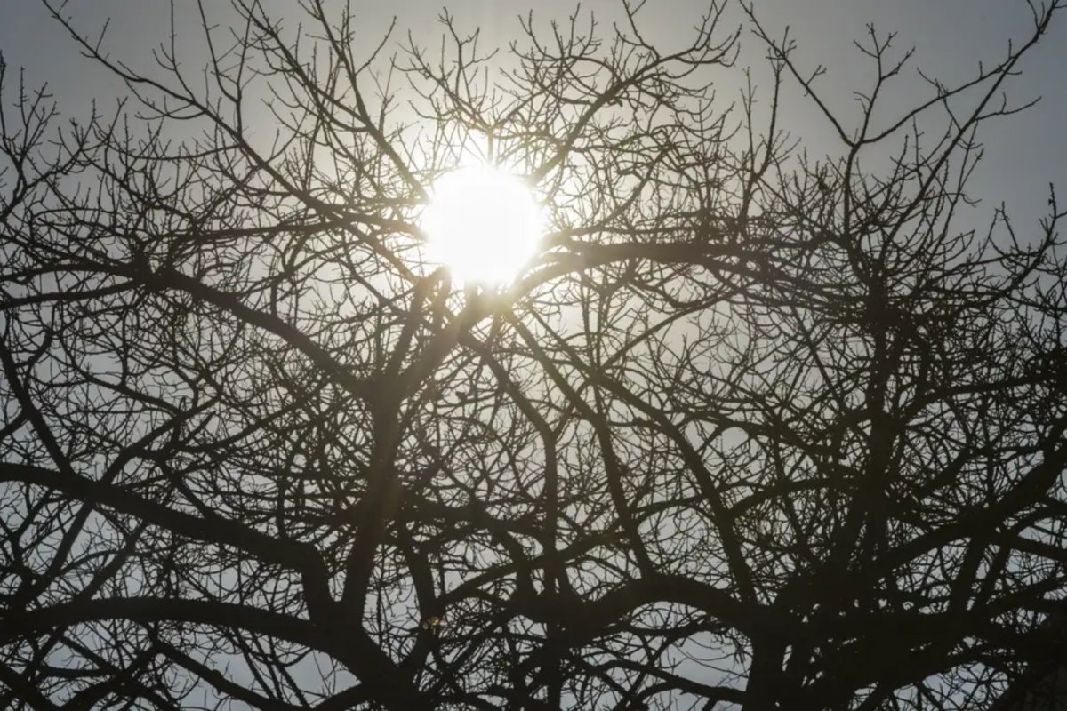 Baixa umidade na Bahia: mais 70 cidades recebem alerta do Inmet para o fim de semana