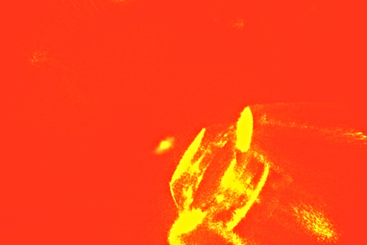 Pela primeira vez na história, cientistas conseguiram 'segurar' um átomo