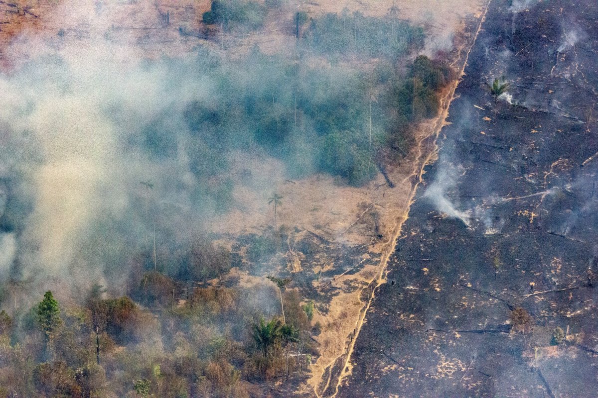 Brasil não deve atingir meta climática para 2025, projeta relatório de gases-estufa