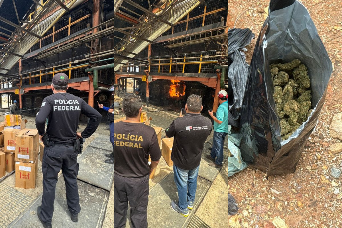 Polícia Federal incinera mais de 800 kg de drogas no norte da Bahia