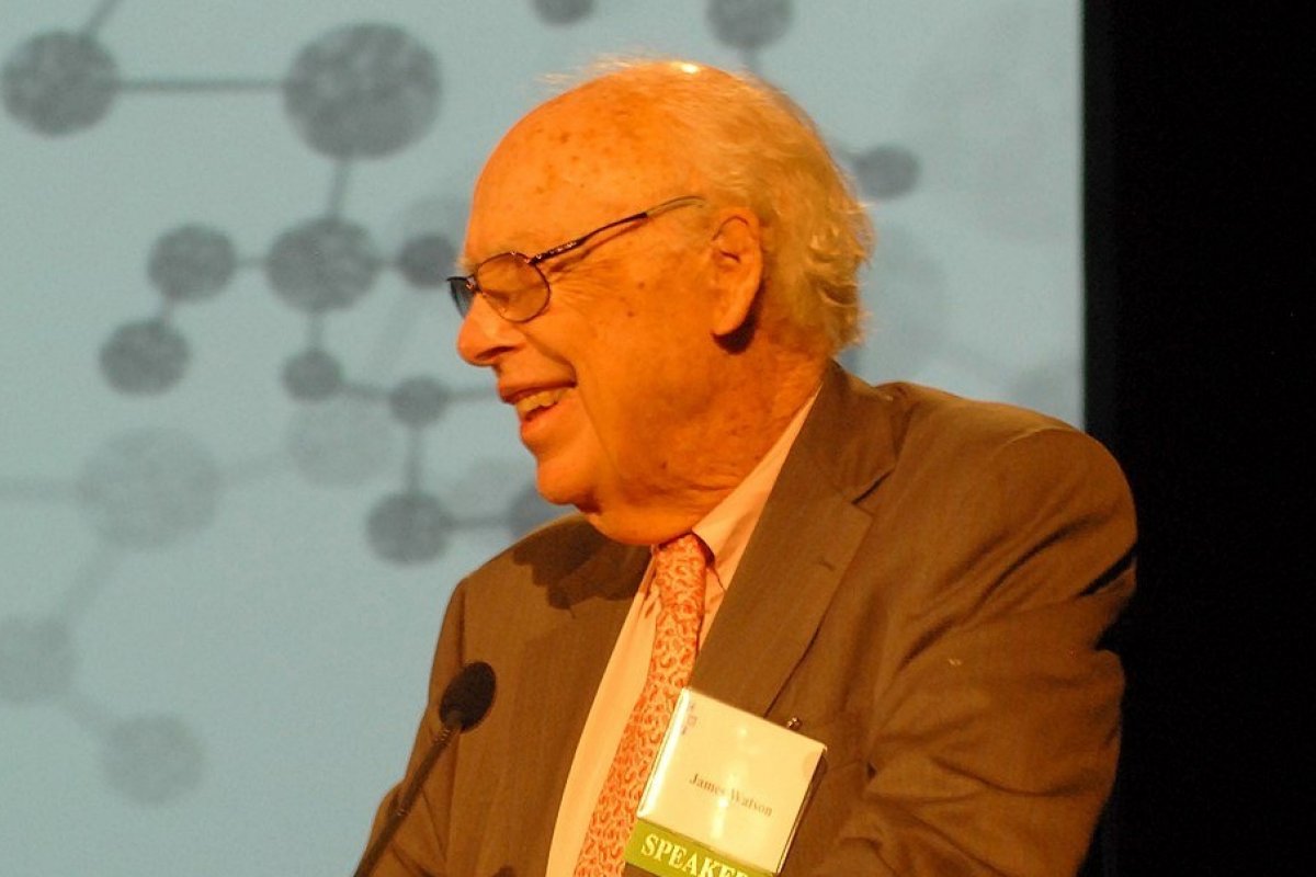 Morre aos 97 anos James Watson, um dos descobridores da estrutura do DNA