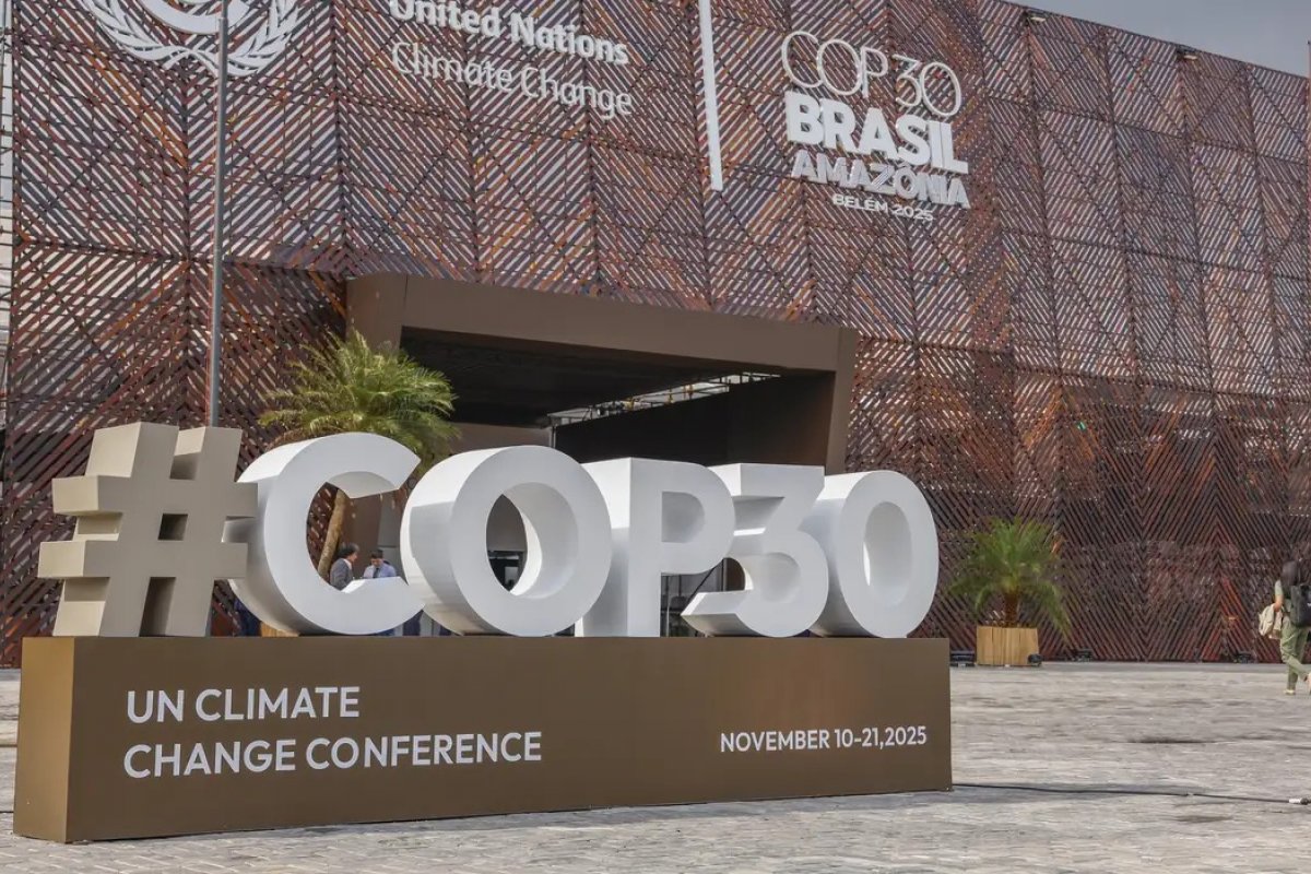 COP-30: Ativistas buscam assinaturas na COP30 para criar lei de iniciativa popular para florestas