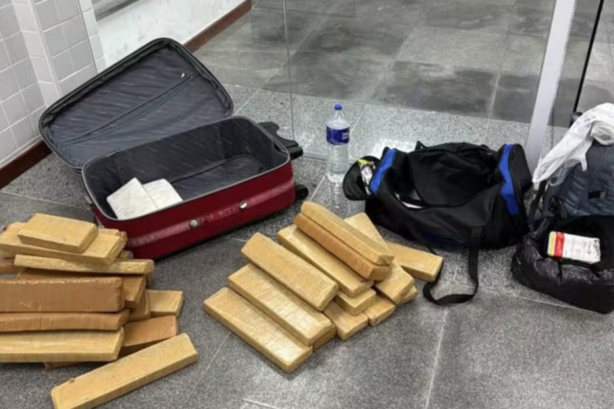 Cão farejador da PRF encontra mais de 34 kg de drogas em bagagens dentro de ônibus na Bahia 