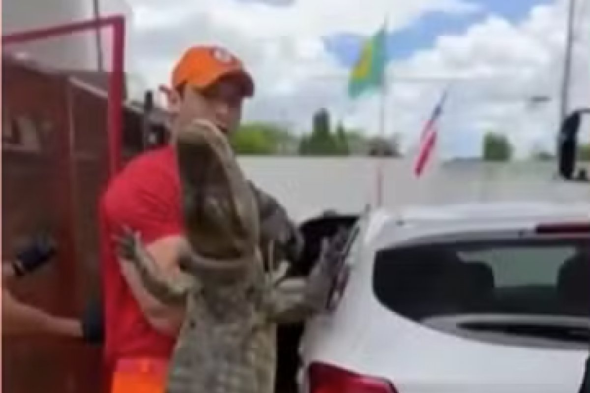 Jacaré é resgatado após invadir casa em cidade no interior da Bahia