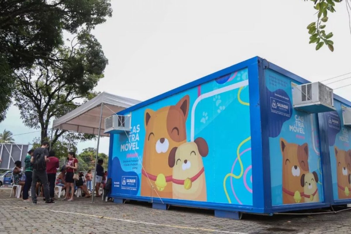 Castramóvel inicia castrações gratuitas para cães e gatos em Plataforma