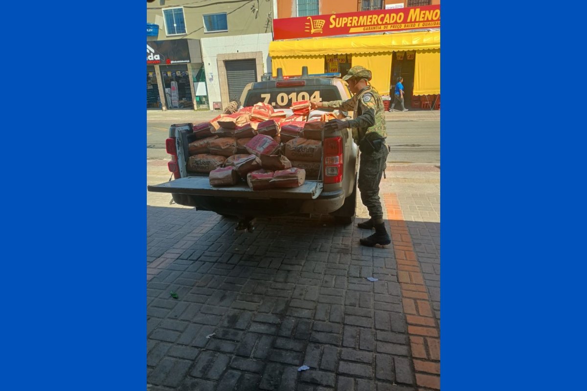 Mais de duas toneladas de carvão ilegal são apreendidas em Camaçari