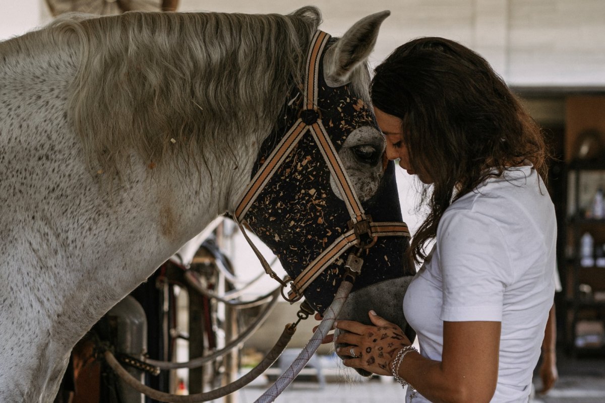 UNIFACS promove atendimento clínico e odontológico para cavalos urbanos em Salvador