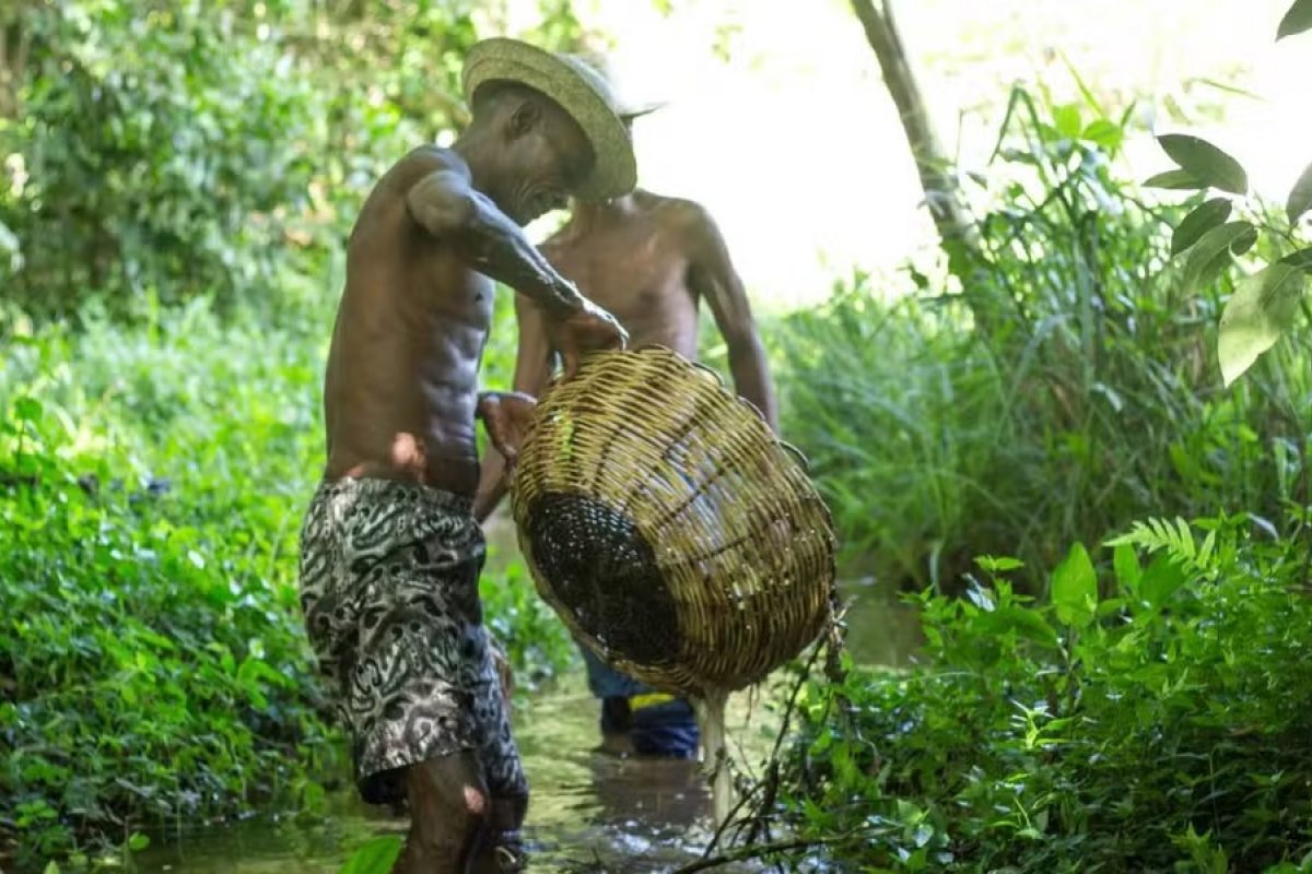 Comunidade baiana recebe reconhecimento de remanescente quilombola; Bahia tem mais de 900 certificadas