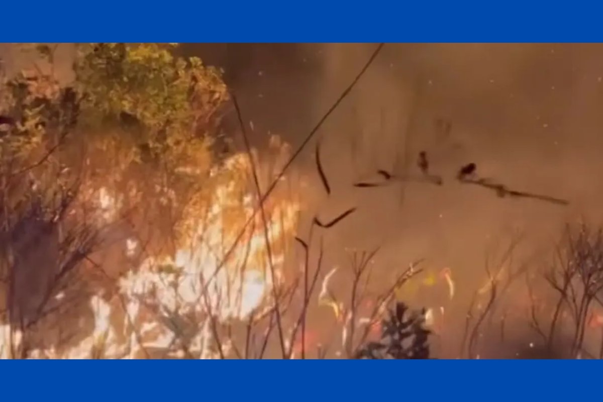 Vídeo: incêndio de grandes proporções atinge região da Chapada Diamantina